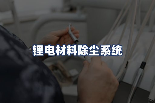 锂电材料除尘系统